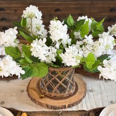 Classic Cone Hydrangea Stem