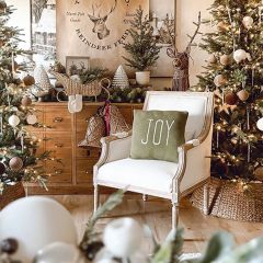 Classic Elegance Arm Chair With Lumbar Cushion