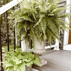 Classic Home and Garden Urn