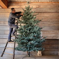 Classic Lighted Spruce Christmas Tree
