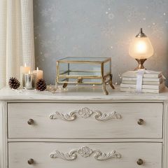 Claw Foot Tabletop Glass Display Case with Drawer