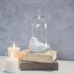 Clear Glass Bell Cloche