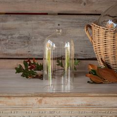 Clear Glass Dome With Knob Top 10 Inch