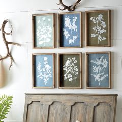 Color Block Framed Botanical Print Collection Set of 6