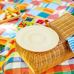 Coral Color Pop Bamboo Dinner Plate Set of 4
