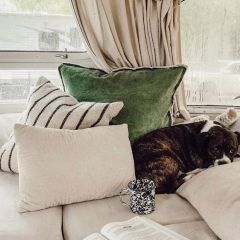 Cotton Velvet Accent Pillow