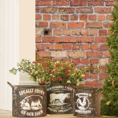 Country Farm Embossed Planter Pots Set of 3