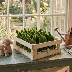 Crate Of Faux Moss Bunnies