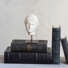 Cream Male Bust on Copper Finish Metal Stand