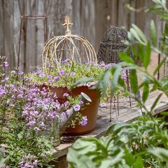 Crown Style Decorative Cloche Set of 3