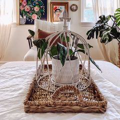 Crown Style Decorative Cloche