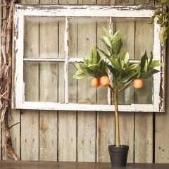 Potted Apple Tree Topiary