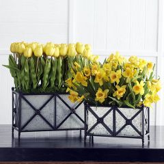 Rectangular Planter Box With Metal Trim Set of 2