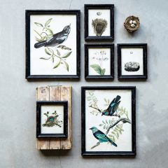 Wood Framed Bird Wall Decor Set of 2