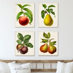 Farm Fruit Wall Art