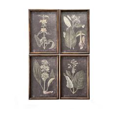 Dark Botanical Framed Print Set of 4