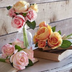 Rose Bundle Set of 3