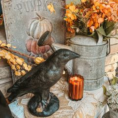 Decorative Black Crow