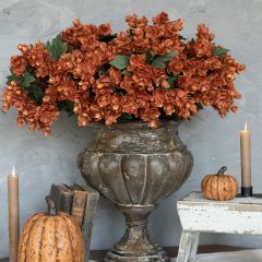 Decorative Brown Hops Bush