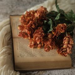 Decorative Brown Hops Bush