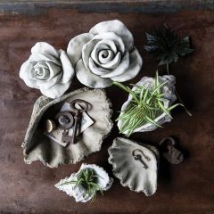 Decorative Concrete Clam Shell Set of 2