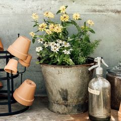 Found Dairy Bucket