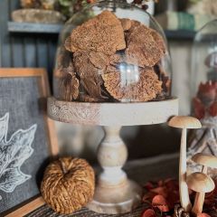 Decorative Dried Sponge Mushrooms Bag of 48