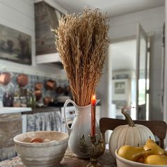 Decorative Dried Wild Oats Bunch