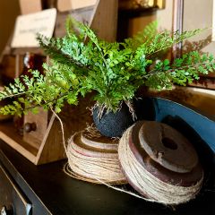 Decorative Faux Fern With Root Ball