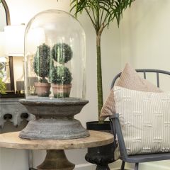 Decorative Glass Cloche With Distressed Zinc Base