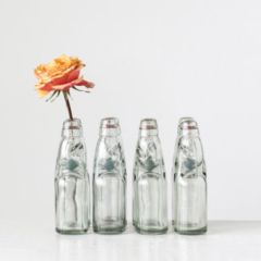 Decorative Glass Soda Bottle