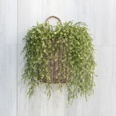 Decorative Hanging Boxwood Bush Set of 3