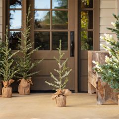 Decorative Iced Alpine Tree