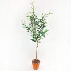 Decorative Marketplace Olive Tree