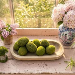 Decorative Mossy Egg Set of 9