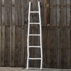 Decorative Painted Wood Ladder