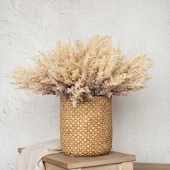 Decorative Pampas Grass Bundle