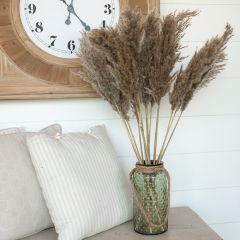 Decorative Pampas Grass Stem