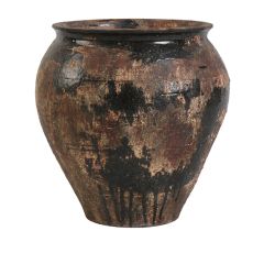 Decorative Rustic Swamp Pot