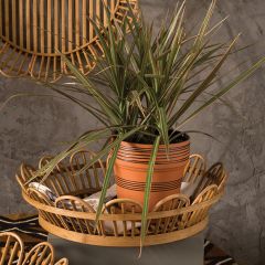 Decorative Scalloped Wicker Tray 17.75 Inch