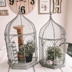 Decorative Simple Iron Bird Cage Set of 2