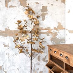 Decorative Tall Cotton Plant