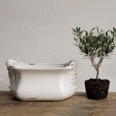 Decorative Terra Cotta Cachepot