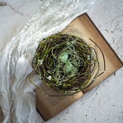 Decorative Twig Bird Nest