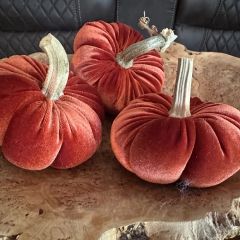Decorative Velvet Harvest Pumpkin Set of 3