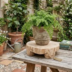 Decorative Vintage Wood Slab Bread Board
