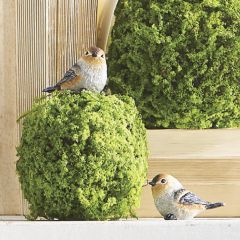 Decorative Woodland Bird 3 Inch Set of 3