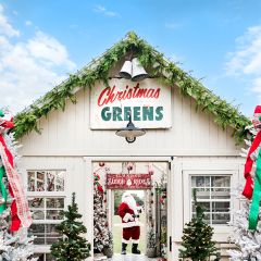 Decorative Woodland Cedar Garland