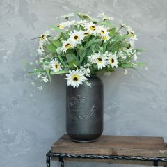 Decorative Zinnia Bush