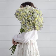 Delicate Pastel-Hued Hydrangea Stem Set of 3